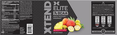 Elite Island Punch Fusion label