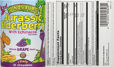 Jurassic Elderberry Natural Grape Flavor label