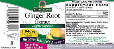 Ginger Root Extract 1,040 mg label
