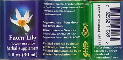 supplement image