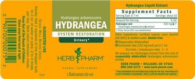 Hydrangea label