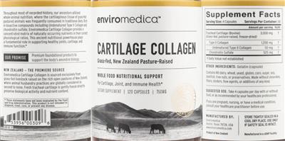 Cartilage Collagen label