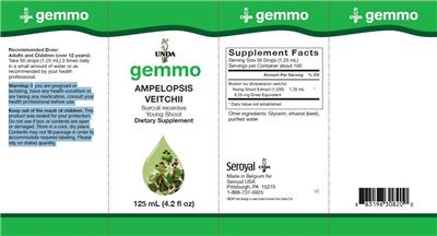 Ampelopsis veitchii label