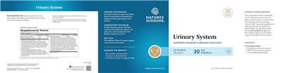 Urinary System label