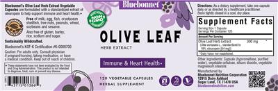 Olive Leaf Herb Extract label
