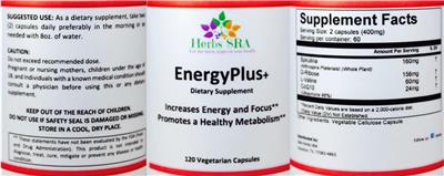 EnergyPlus+ label