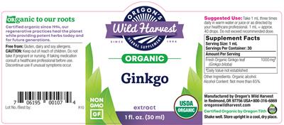 Ginkgo Extract label