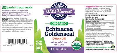 Echinacea Goldenseal Alcohol-Free Extract Orange label