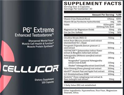 P6 Extreme label