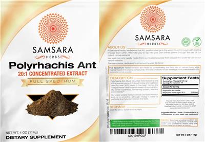 Polyrhachis Ant 20:1 Concentrated Extract label