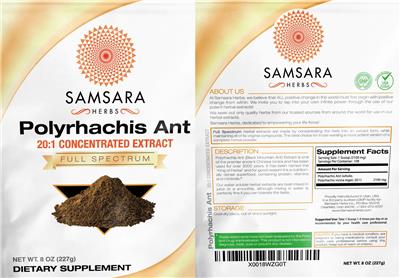 Polyrhachis Ant 20:1 Concentrated Extract label