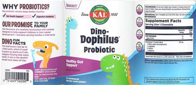 Dino-Dophilus Probiotic Black Cherry label