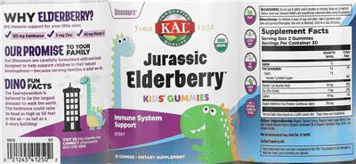 Jurassic Elderberry Kids' Gummies Berry label