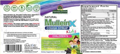 Natural Mullein-X Cough Syrup Kids label