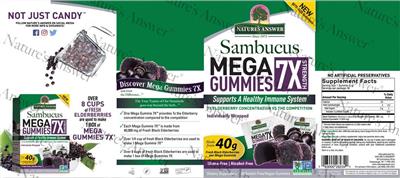 Sambucus Mega Gummies 7X Strength Elderberry label