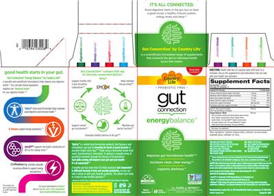 Energy Balance label
