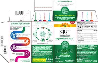 Digestive Balance label