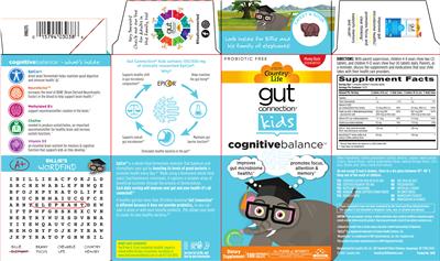 Cognitive Balance label