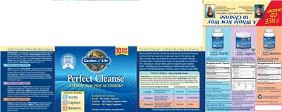 supplement image