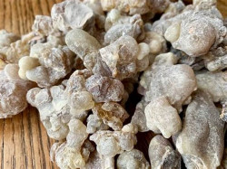 Boswellia Serrata