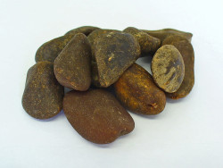 Ignatius Bean