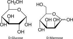 D-mannose