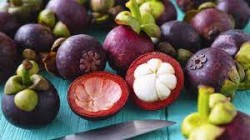 Mangosteen