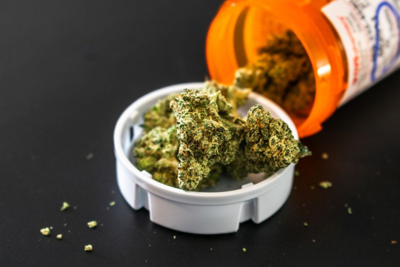 Can You Use Cannabis While Taking Binimetinib (Mektovi)?